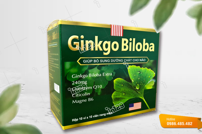Mẫu vỏ hộp đựng thuốc tây Ginkgo Biloba