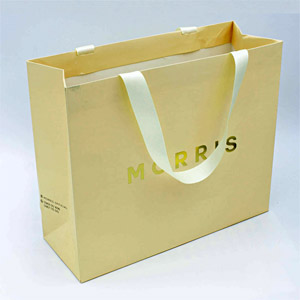 Mẫu túi giấy đựng sản phẩm thương hiệu Morris