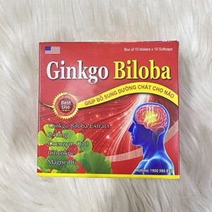 Mẫu hộp đựng thuốc bổ não Ginkgo biloba