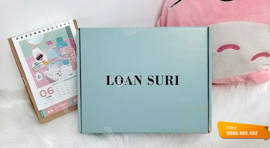 Hộp carton đựng quần áo thương hiệu Loan Suri