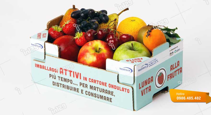 Thùng hoa quả trái cây bằng giấy