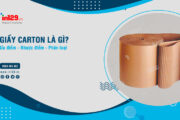 Giấy carton à gì? Ưu nhược điểm